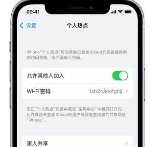 晋源apple服务站点分享iPhone上个人热点丢失了怎么办 