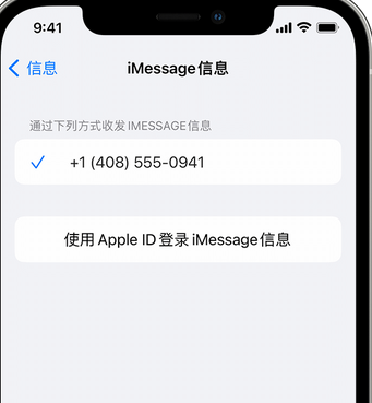 晋源apple维修iPhone上无法正常发送iMessage信息 