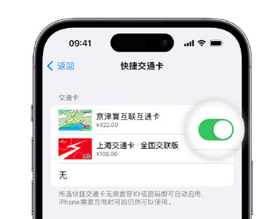 晋源apple维修点分享iPhone上更换Apple Pay快捷交通卡手绘卡面 