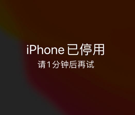 晋源苹果手机维修分享:iPhone 显示“不可用”或“已停用”怎么办？还能保留数据吗？ 