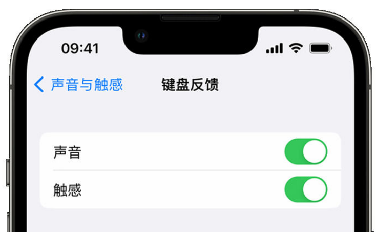 晋源苹果手机维修分享iPhone 14触感键盘使用方法 