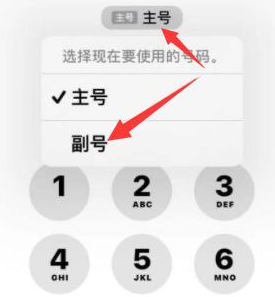 晋源苹果14维修店分享iPhone 14 Pro Max使用副卡打电话的方法 
