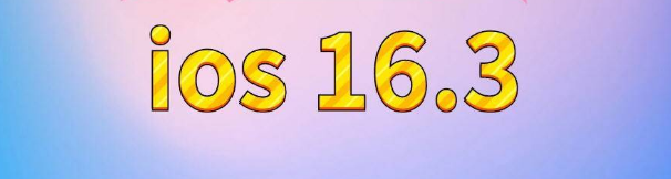 晋源苹果服务网点分享苹果iOS16.3升级反馈汇总 