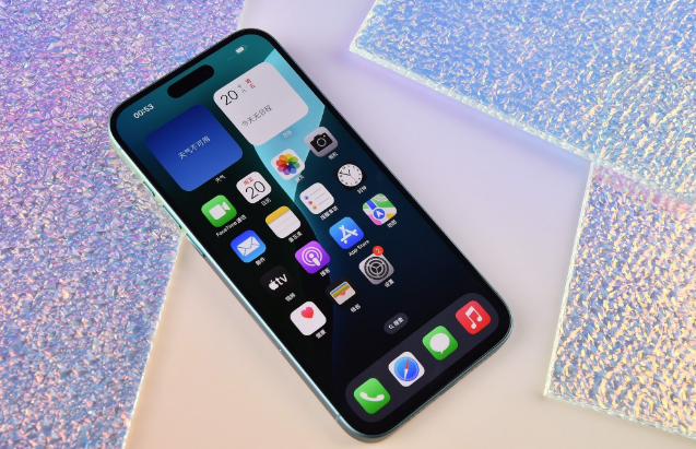 晋源苹果手机维修分享为什么大家不喜欢苹果iPhone 16 Plus 